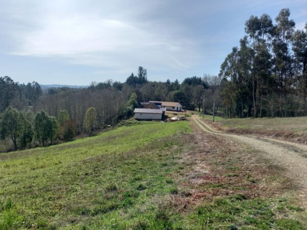PARCELAS SE VENDEN EN SECTOR FUNDO SAN ANTONIO, LAS TORCAZAS