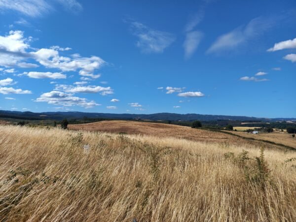 20230103_180639 SE VENDE HERMOSA PARCELA EN SECTOR MIRADOR DEL RANCO
