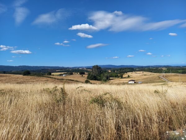 20230103_180641 SE VENDE HERMOSA PARCELA EN SECTOR MIRADOR DEL RANCO