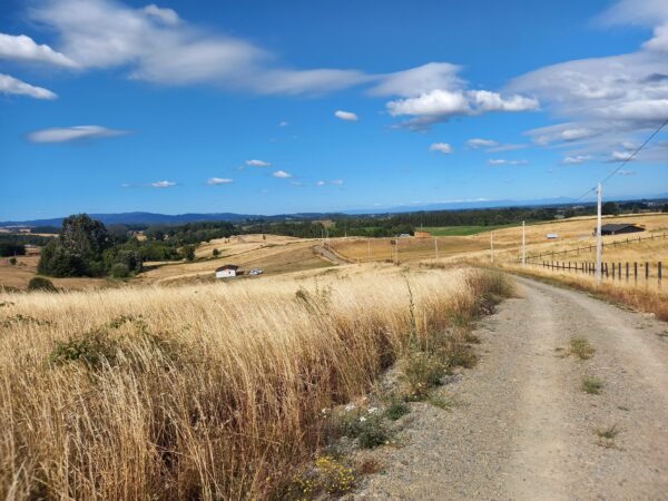 20230103_180644 SE VENDE HERMOSA PARCELA EN SECTOR MIRADOR DEL RANCO