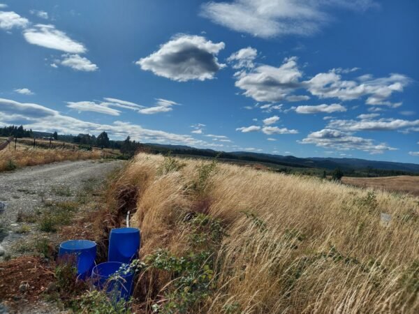 20230103_180650 SE VENDE HERMOSA PARCELA EN SECTOR MIRADOR DEL RANCO