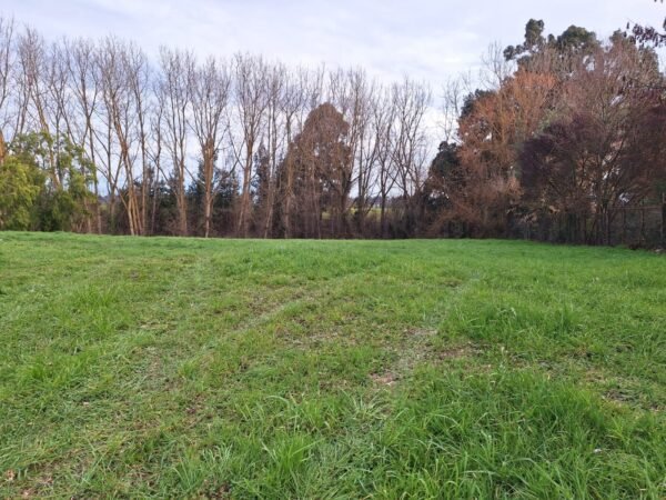 6 VENTA DE TERRENO,SECTOR CUDICO,LA UNION