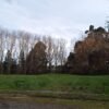 7 VENTA DE TERRENO,SECTOR CUDICO,LA UNION