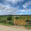 1 (1) SE VENDE CAMPO DE 16.58 HECTAREAS, LA UNIÓN