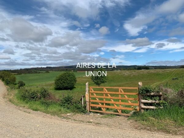 1 (1) SE VENDE CAMPO DE 16.58 HECTAREAS, LA UNIÓN