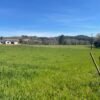 SE VENDE HERMOSA PARCELA EN FUNDO SAN ANTONIO, LA UNIÓN