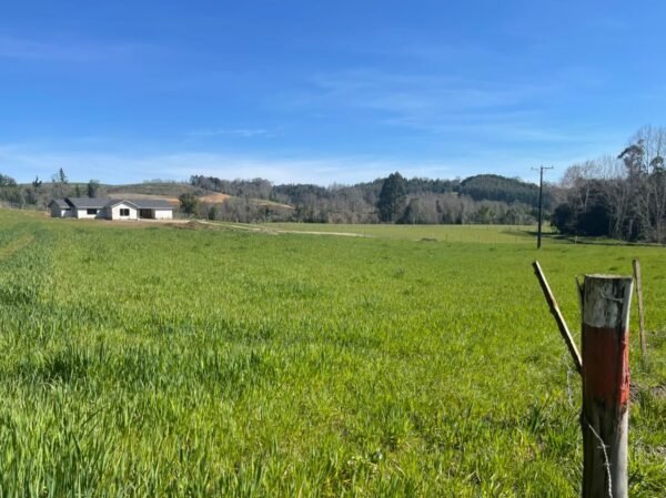 SE VENDE HERMOSA PARCELA EN FUNDO SAN ANTONIO, LA UNIÓN