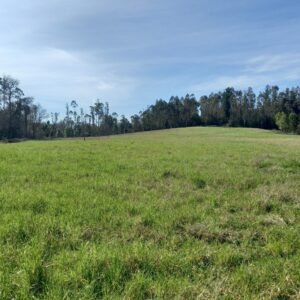 VENTA DE PARCELA SECTOR FUNDO SAN ANTONIO, PARCELACION LAS TORCAZAS, LA UNIÓN