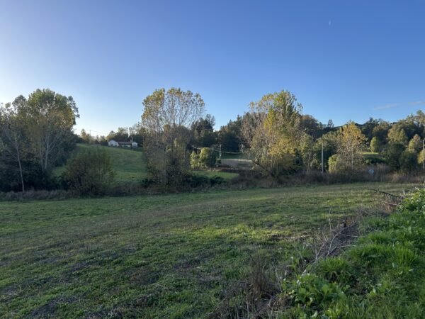 SE VENDE HERMOSA PARCELA EN FUNDO SAN ANTONIO, LA UNIÓN