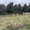 10 (3) SE VENDE PARCELA ,SECTOR TRUMAO, LA UNIÓN