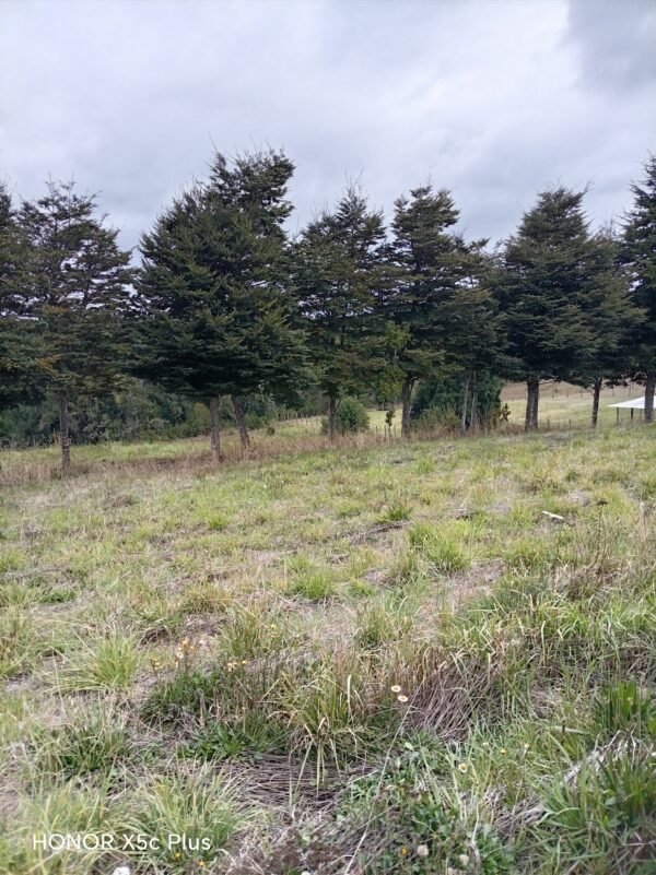 10 (3) SE VENDE PARCELA ,SECTOR TRUMAO, LA UNIÓN