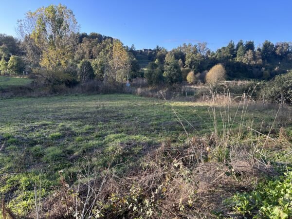 SE VENDE HERMOSA PARCELA EN FUNDO SAN ANTONIO, LA UNIÓN