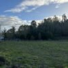 SE VENDE HERMOSA PARCELA EN FUNDO SAN ANTONIO, LA UNIÓN