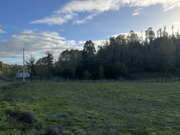 SE VENDE HERMOSA PARCELA EN FUNDO SAN ANTONIO, LA UNIÓN