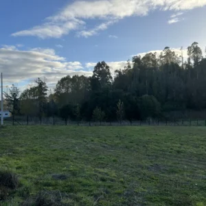 11_resultado SE VENDE HERMOSA PARCELA EN FUNDO SAN ANTONIO, LA UNIÓN