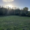 SE VENDE HERMOSA PARCELA EN FUNDO SAN ANTONIO, LA UNIÓN