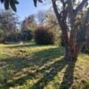 SE VENDE HERMOSO SITIO CENTRAL EN LA UNIÓN