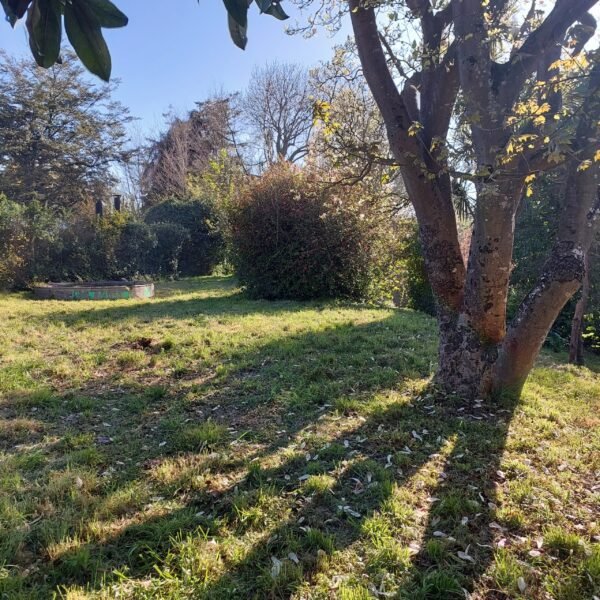 SE VENDE HERMOSO SITIO CENTRAL EN LA UNIÓN
