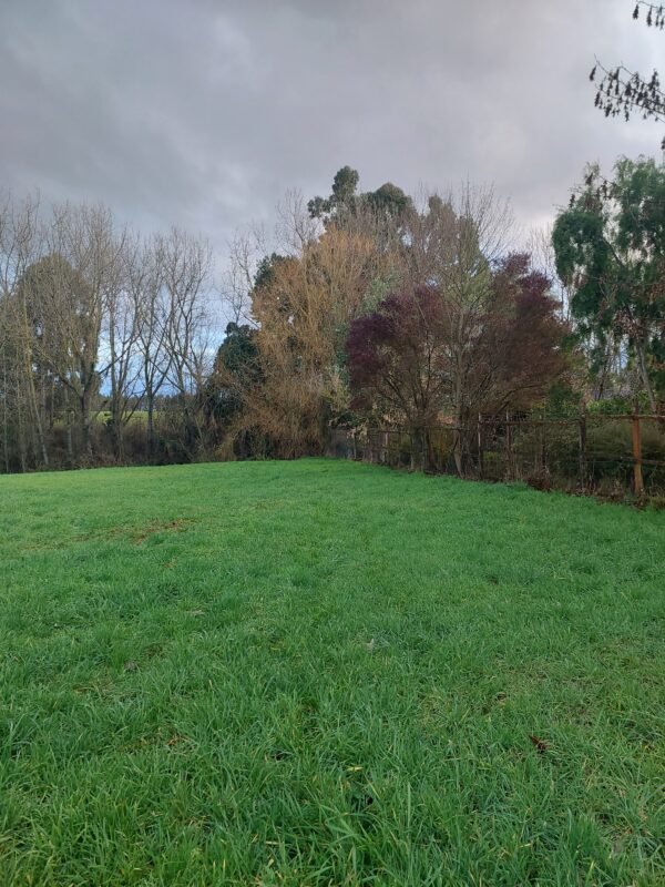 SE VENDE HERMOSO SITIO A 3 MINUTOS DE LA UNIÓN