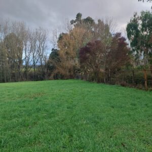 SE VENDE HERMOSO SITIO A 3 MINUTOS DE LA UNIÓN