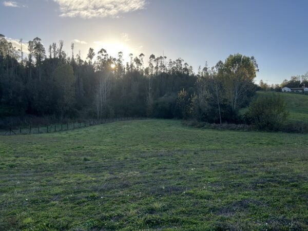 SE VENDE HERMOSA PARCELA EN FUNDO SAN ANTONIO, LA UNIÓN