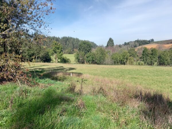 VENTA DE PARCELA SECTOR FUNDO SAN ANTONIO, PARCELACION LAS TORCAZAS, LA UNIÓN