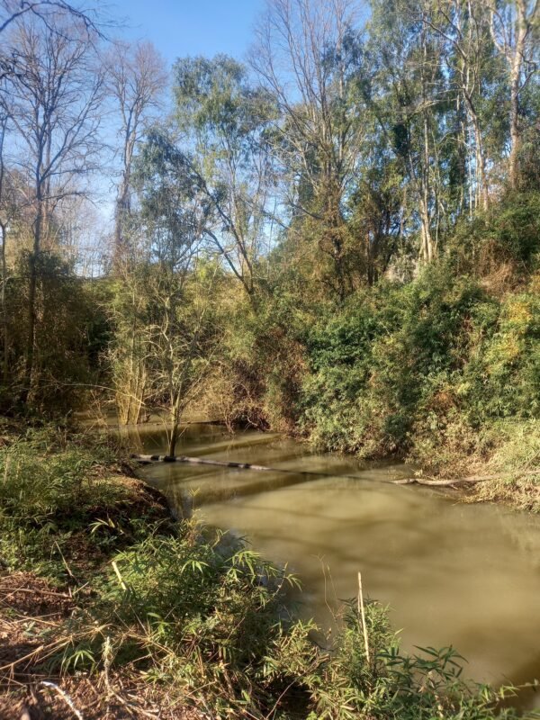 VENTA DE PARCELA SECTOR FUNDO SAN ANTONIO, PARCELACION LAS TORCAZAS, LA UNIÓN