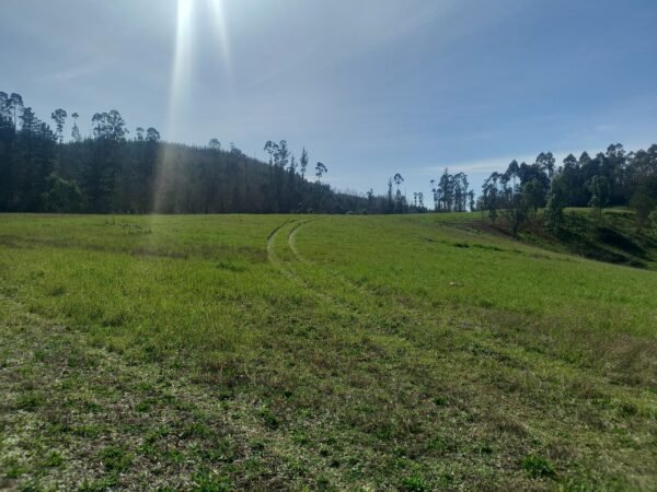 VENTA DE PARCELA SECTOR FUNDO SAN ANTONIO, PARCELACION LAS TORCAZAS, LA UNIÓN