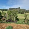 VENTA DE PARCELA SECTOR FUNDO SAN ANTONIO, PARCELACION LAS TORCAZAS, LA UNIÓN
