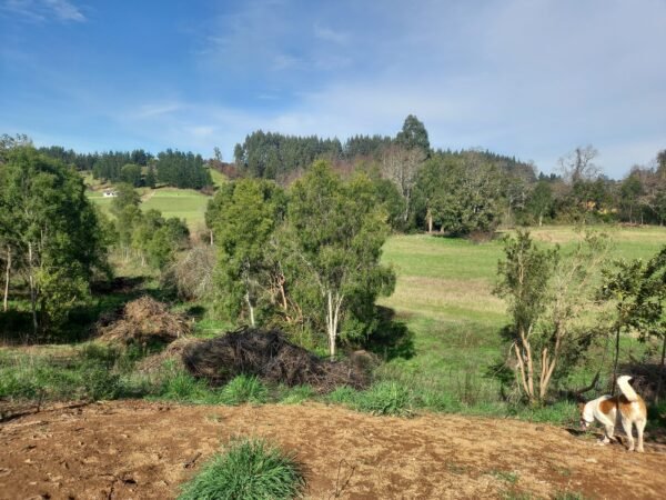 VENTA DE PARCELA SECTOR FUNDO SAN ANTONIO, PARCELACION LAS TORCAZAS, LA UNIÓN