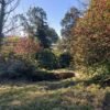 SE VENDE HERMOSO SITIO CENTRAL EN LA UNIÓN