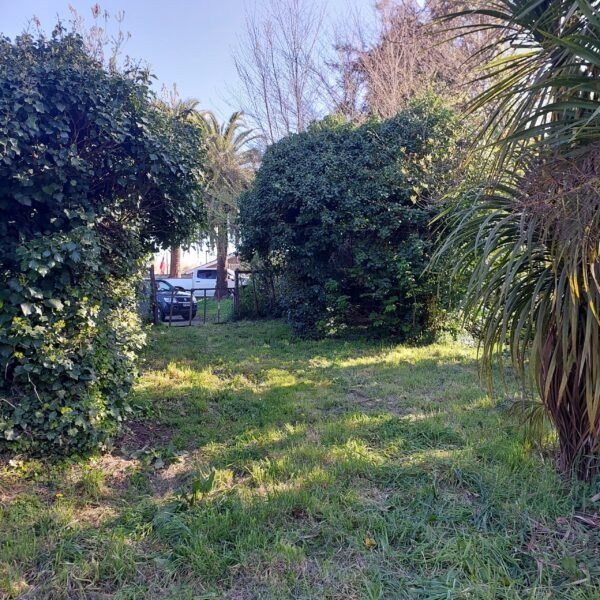 SE VENDE HERMOSO SITIO CENTRAL EN LA UNIÓN