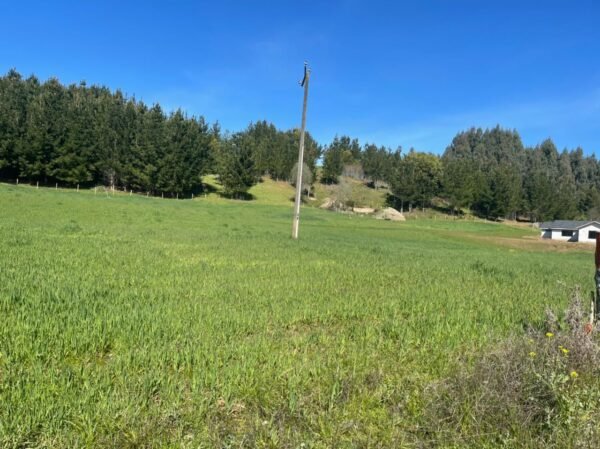 SE VENDE HERMOSA PARCELA EN FUNDO SAN ANTONIO, LA UNIÓN
