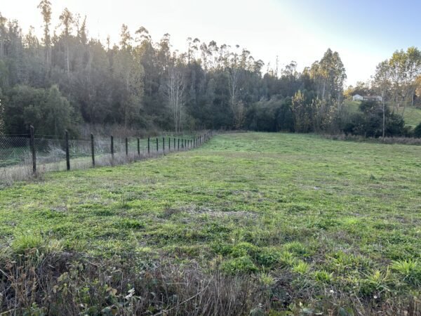 SE VENDE HERMOSA PARCELA EN FUNDO SAN ANTONIO, LA UNIÓN