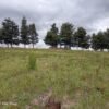 3 (4) SE VENDE PARCELA ,SECTOR TRUMAO, LA UNIÓN