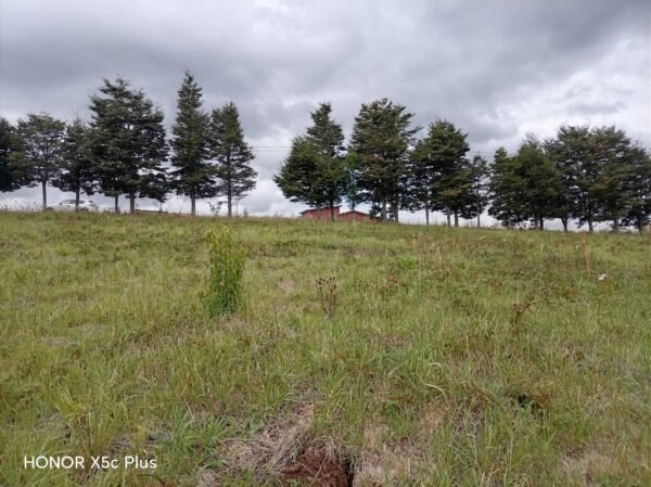 3 (4) SE VENDE PARCELA ,SECTOR TRUMAO, LA UNIÓN