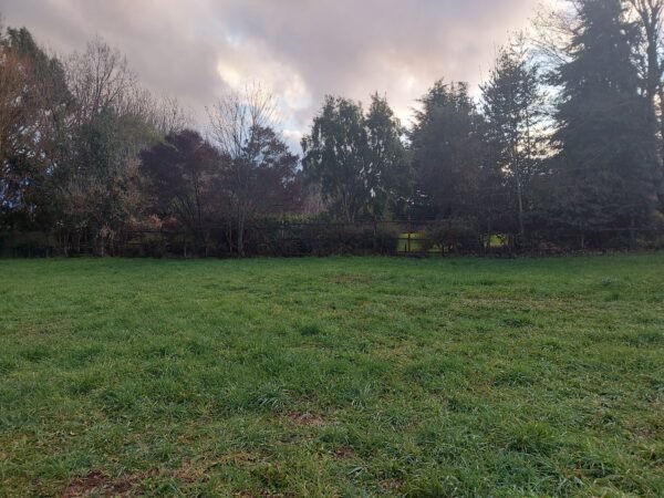 SE VENDE HERMOSO SITIO A 3 MINUTOS DE LA UNIÓN