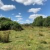 4 SE VENDE CAMPO DE 16.58 HECTAREAS, LA UNIÓN