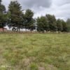 4 (2) SE VENDE PARCELA ,SECTOR TRUMAO, LA UNIÓN