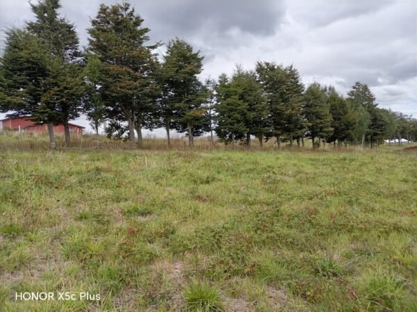 4 (2) SE VENDE PARCELA ,SECTOR TRUMAO, LA UNIÓN
