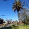SE VENDE HERMOSO SITIO CENTRAL EN LA UNIÓN
