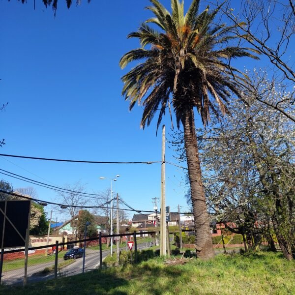 SE VENDE HERMOSO SITIO CENTRAL EN LA UNIÓN