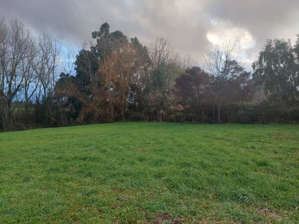 SE VENDE HERMOSO SITIO A 3 MINUTOS DE LA UNIÓN