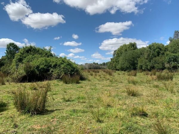 4 SE VENDE CAMPO DE 16.58 HECTAREAS, LA UNIÓN