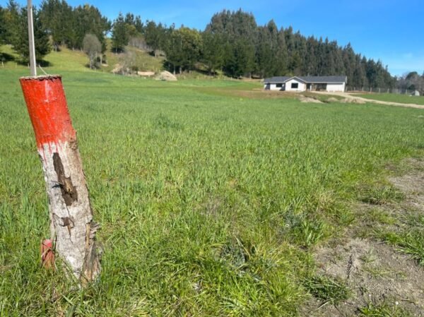 SE VENDE HERMOSA PARCELA EN FUNDO SAN ANTONIO, LA UNIÓN