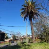 SE VENDE HERMOSO SITIO CENTRAL EN LA UNIÓN