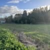 SE VENDE HERMOSA PARCELA EN FUNDO SAN ANTONIO, LA UNIÓN