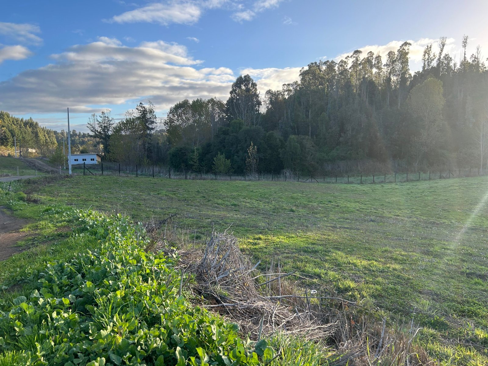SE VENDE HERMOSA PARCELA EN FUNDO SAN ANTONIO, LA UNIÓN