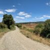 5 (3) SE VENDE CAMPO DE 16.58 HECTAREAS, LA UNIÓN