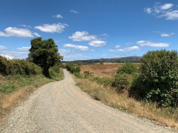 5 (3) SE VENDE CAMPO DE 16.58 HECTAREAS, LA UNIÓN